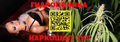 дживик Кандалакша