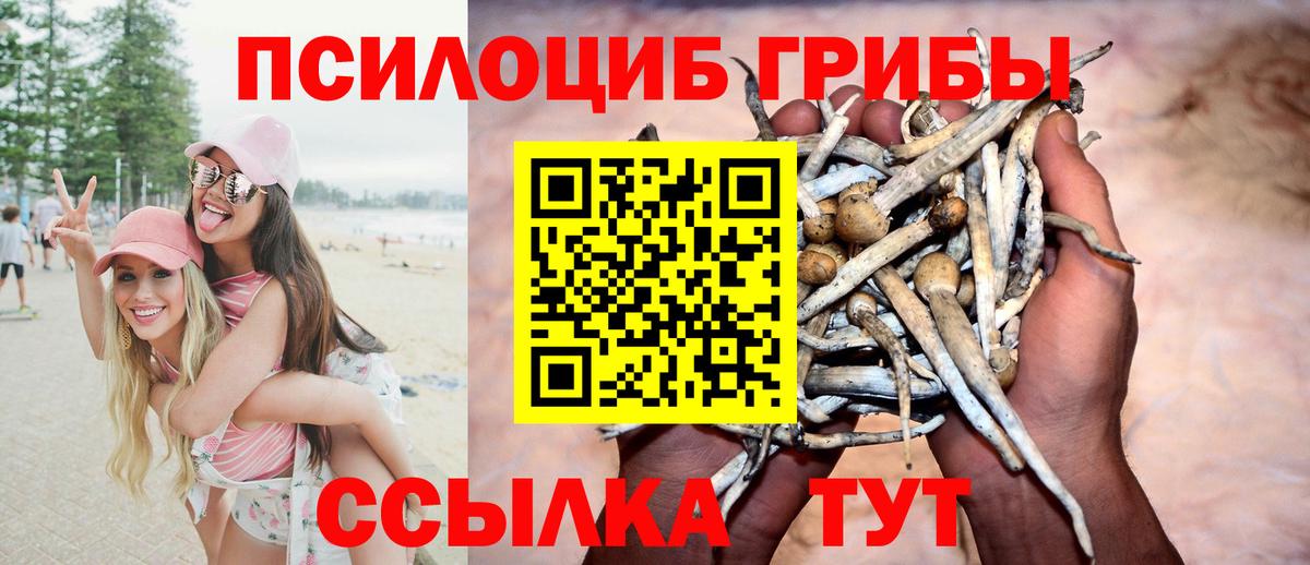 Галлюциногенные грибы мухоморы Кулебаки
