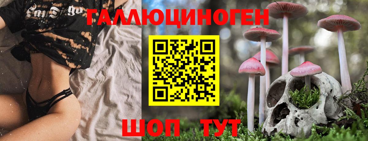 Псилоцибиновые грибы Psilocybe  Псилоцибиновые грибы GOLDEN TEACHER  Вход с VPN  закладка  Кулебаки 